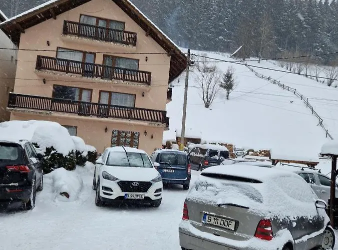 Pensiunea Bradul,Moieciu de Sus Moeciu De Sus